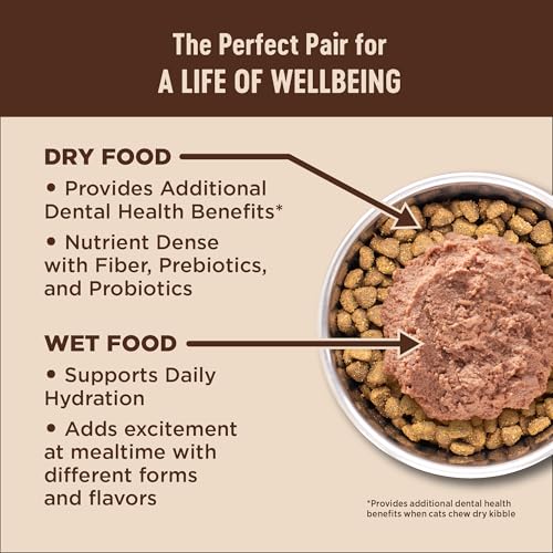 CORE+ Digestive Health Adult Dry Cat Food (11 Pound (Pack of 1))
