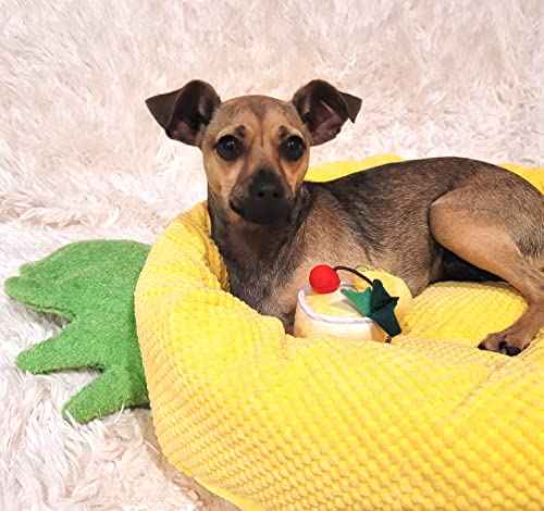 Soft Plush Small Cute and Cozy Food Dog Cat Bed (Pineapple)