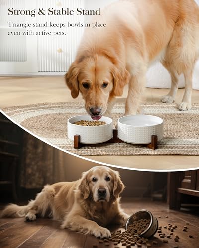 Dog Bowl Set Ceramic Bowls with Walnut Wood Stand (Rhombic+Polka Dots / 6 Cups)