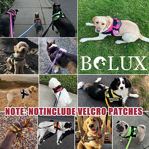 Dog Harness No (Large (Pack of 1) / FLAG)