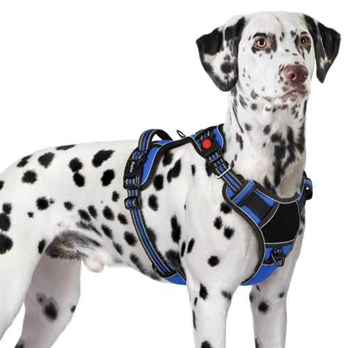 Dog Harness No Pull for Large Dogs (X-Large / Blue & Black)