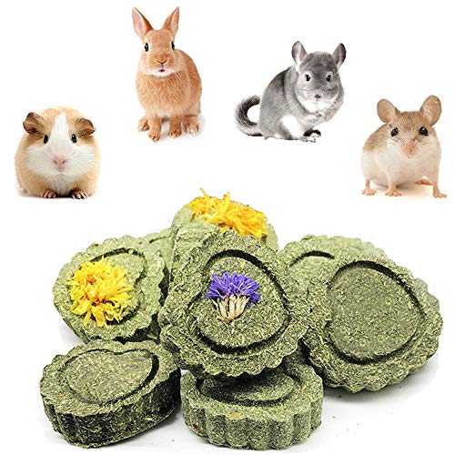 Bunny Chew Toys for Teeth (1 Pack Timothy Hay Circle)
