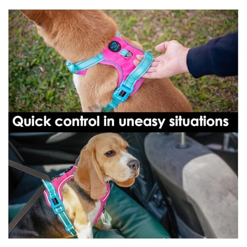 No Pull Dog Harness (Pink Base & Green Straps / Large)