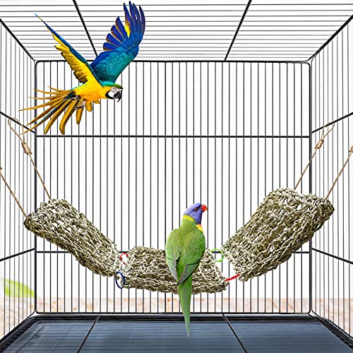 3 PCS Parrot Seagrass Mat