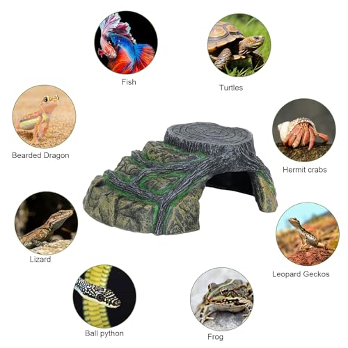Gecko Tank Accessories (L-Flat Stump / Large)