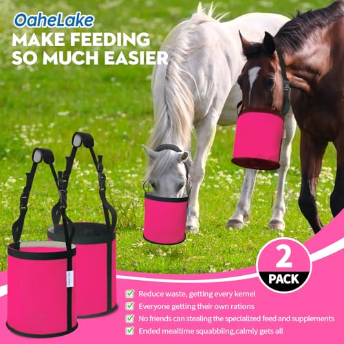 Horse Feed Bag 2 PCs (2 Pcs Magenta)
