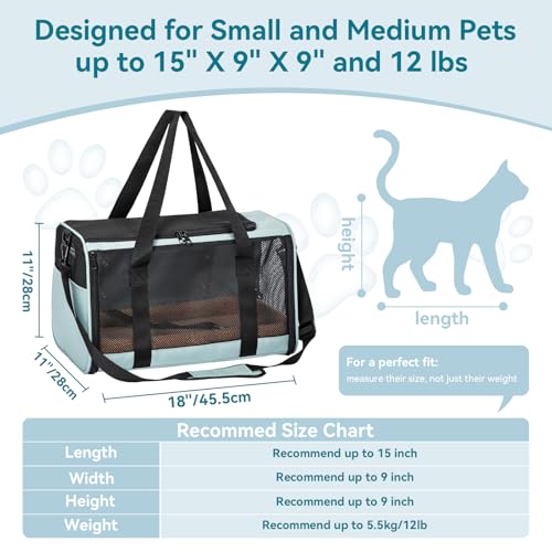 Cat Carrier Soft with Patented Safety Buckles (18.0"L x 11.0"W x 11.0"H / Cyan blue)