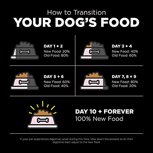 Sensitivities Small Bites Salmon Dry Dog Food (6 Pound (Pack of 1))