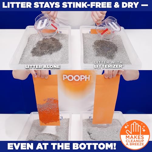 Litterizer Cat Litter Odor Eliminator Additive (16 Ounce (Pack of 1))