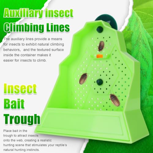 Reptile Anti Escape Feeding Bowl (Wall-Mounted Feeding Bowl / Medium)