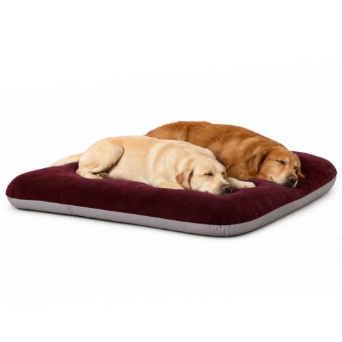 Orthopedic Extra Large Dog Bed 47 Inch (47.0"L x 39.0"W x 5.0"Th / Burgundy)