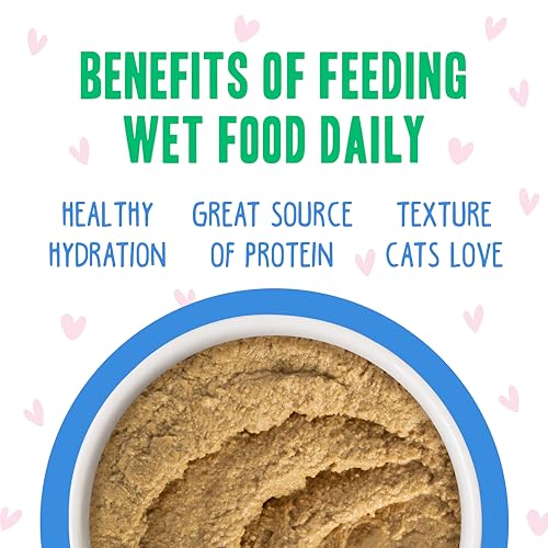 B.F.F. Play Best Feline Friend Paté Lovers (3 Ounce (Pack of 12))