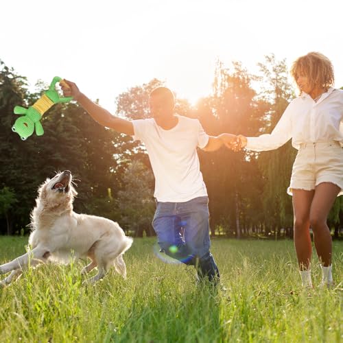 Dog Squeak Toys Durable Plush Dog Toy with Crinkle Paper (Big-faced frog)