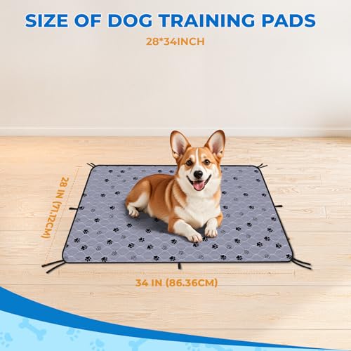 Washable Pee Pads for Dogs (Gray / 28*34 Inch (Pack of 2))