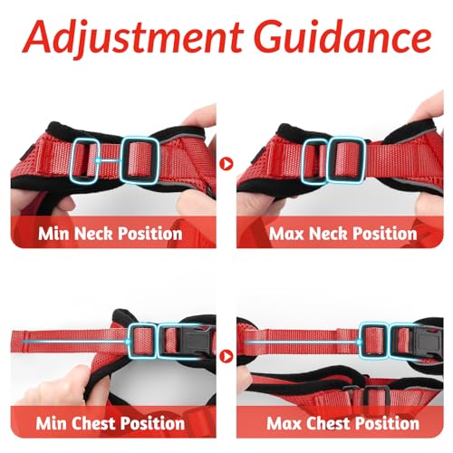 Cat Harness and Leash Set (S / Red)