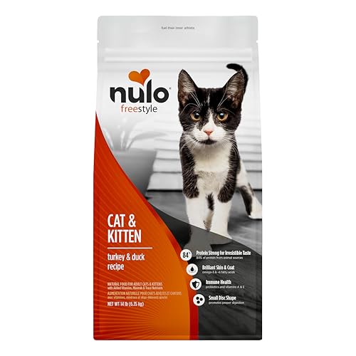 FreeStyle Cat & Kitten Dry Food (14 Pound (Pack of 1))
