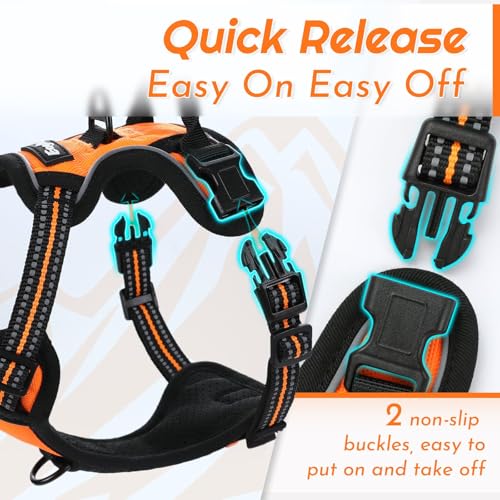 Dog Harness for Small Dogs (X-Small / Orange)