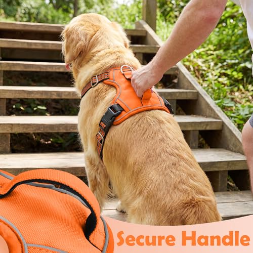 Dog Harness No Pull (Orange / Medium)