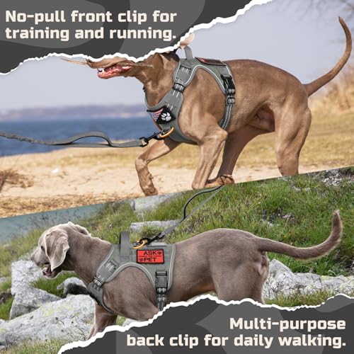 Tactical Dog Harness for Small (Grey / Small)