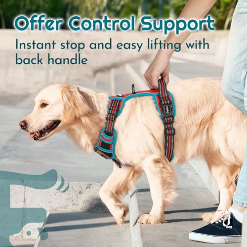Dog Harness No Pull for Large Dogs (Large / Red & Teal)