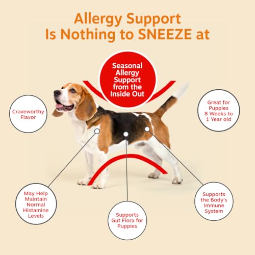 Puppy Dog Allergy Chews (90 Count (Pack of 1) - Puppy)
