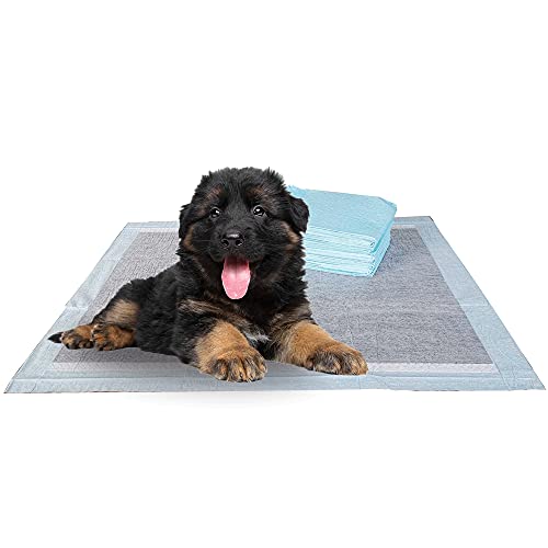 Charcoal Puppy Pads XL 40 Count 34"x28" (XL / 40-Count (Charcoal))