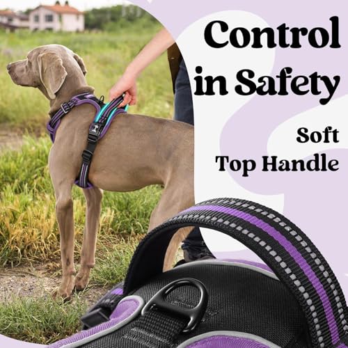Dog Harness for Large (Black & Purple / X-large)
