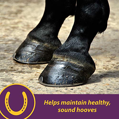 Vita Biotin Crumbles Horse Hoof Supplement (Biotin / 20 pounds)