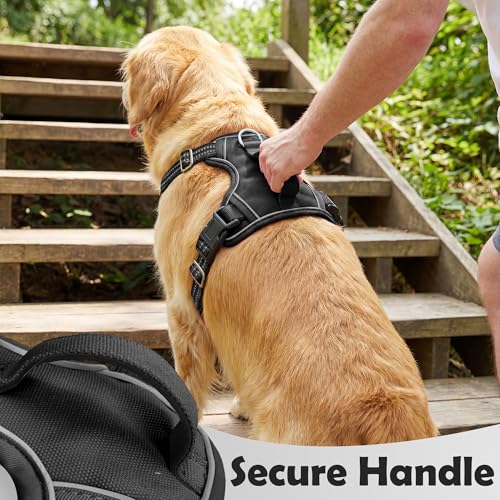 Dog Harness for Large Dog No Pull (Black / Large)