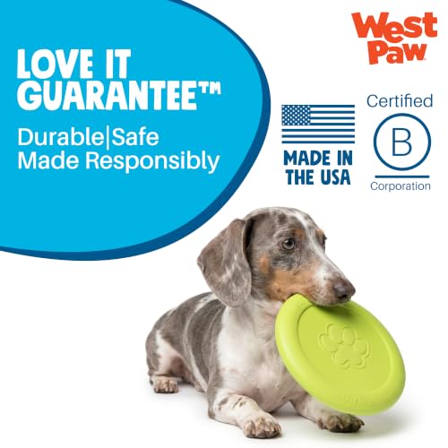 Zisc High Flying Disc Dog Toy (Small / Tangerine)