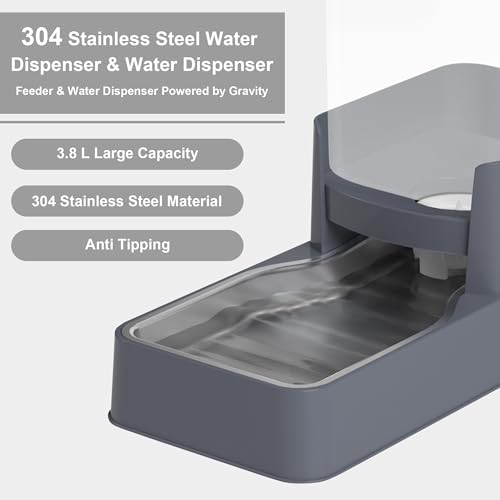 Automatic Cat Feeder and Water Dispenser in Set with Pet Food Bowl