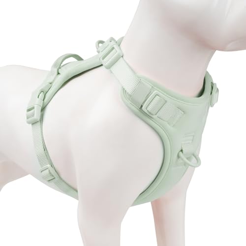 No Pull Dog Harness for Medium Sized Dogs Puppy Vest No Choke (Light Green / M(Neck:18.5-25.6", Chest:20.9-30.7"))