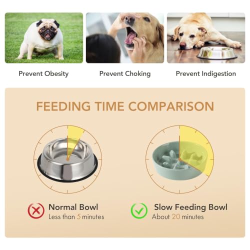 Ceramic Slow Feeder Dog Bowls (Light Green)
