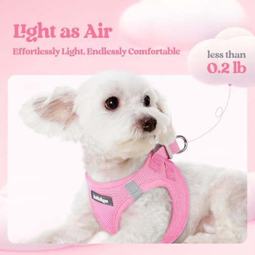Dog Harness Small Sized and Leash Set (Light Pink / Xs (chest: 13.3 - 15.5"))