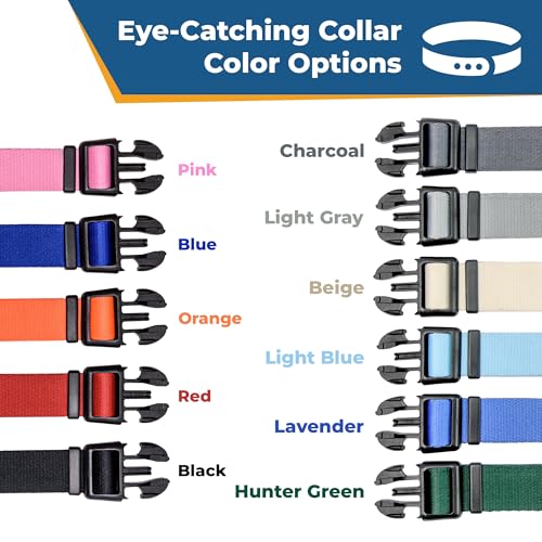 Dog Collar with Personalized Nameplate (Classic / Medium (Pack of 1))