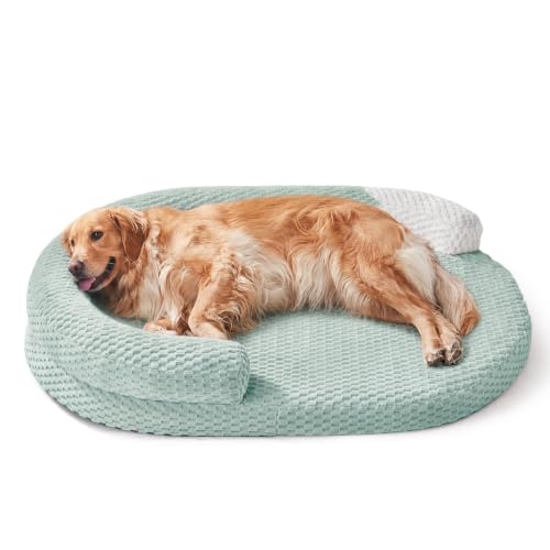 XXL Orthopedic Dog Beds (Green / XXL(48"x 35"x 7.5"))