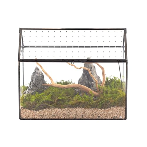 Glass Terrarium with Acrylic Lid