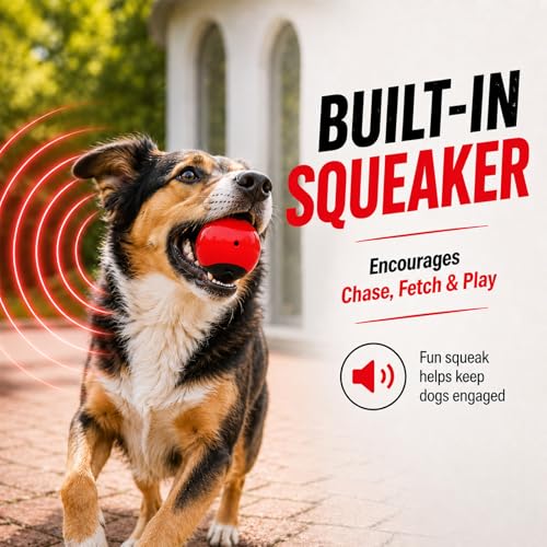 Squeaky Balls for Dogs (RedBlack)
