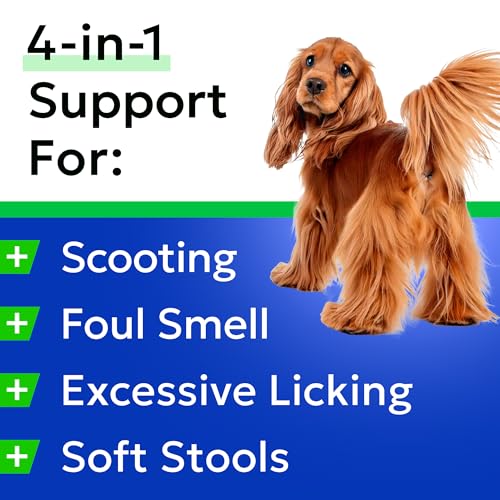 Dog Anal Gland Treatment Chews (Gland Guard / 120Ct Bacon)