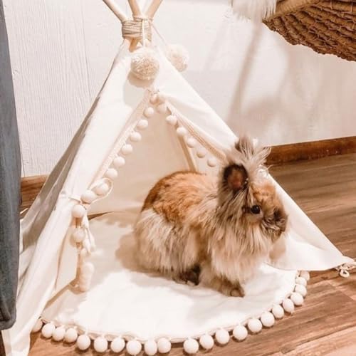 Pet Teepee Tent with Padded Mat (Extra Small)