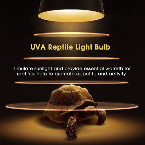 Reptile Heat Bulb (Warm Bulb 75w / 2 Pack)