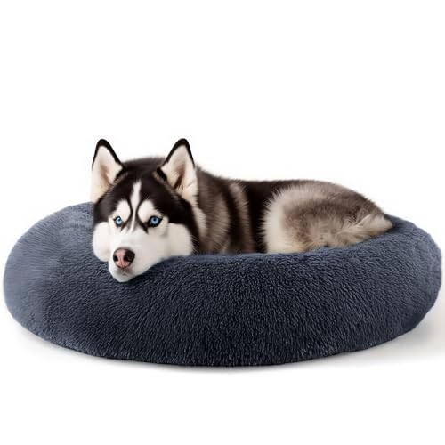 Extra Large Dog Beds (Dark Grey / 36.0"L x 36.0"W x 8.0"Th)