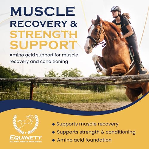 100 Day Supply Equinety Horse XL Powder Horse Supplement with Amino Acids (Horse XL)
