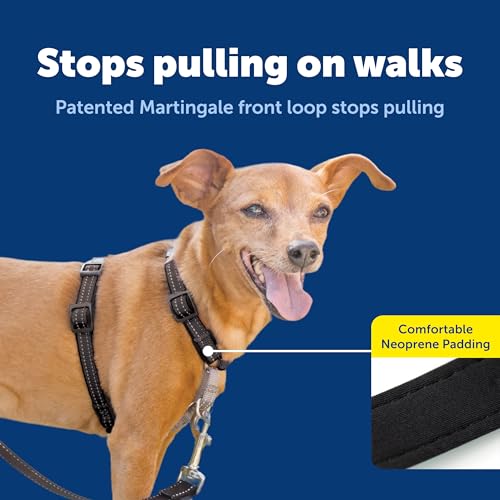 3 in 1 No Pull Dog Harness