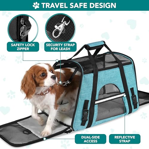 Airline Approved Pet Carrier for Cats Small Dogs (Heather Blue / 17.0"L x 10.2"W x 11.2"H)