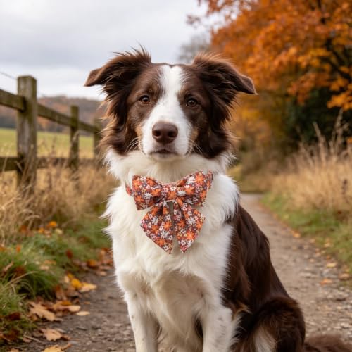 Floral Dog Collar with Sailor Bow (Brown Blossoms(Sailor Bow) / Medium (Pack of 1))