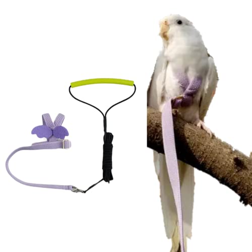 Pet Parrot Bird Harness Leash Adjustable Bird Flying Harness Traction Rope with Cute Wing for Parrots Pigeons Budgerigar Lovebird Cockatiel Mynah Outdoor Training Toy (XL / Purple)