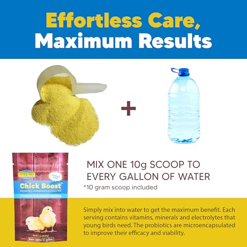 Flock PRO Chick Boost Probiotic (3 oz)