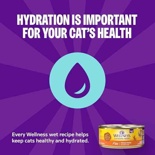 Complete Health Age Advantage Senior Canned Wet Cat Food (0.13 Ounce (Pack of 24))