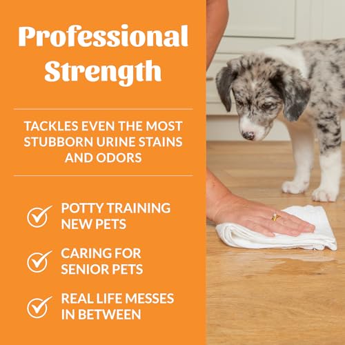 Dog Urine Destroyer (35 Fl Oz (Pack of 1))